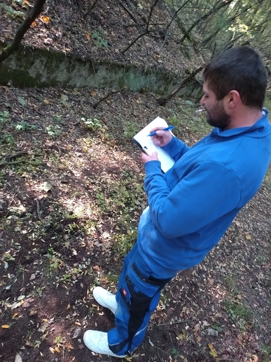 Freiwilligeneinsatz im Bunkerwald – zdjęcie 2