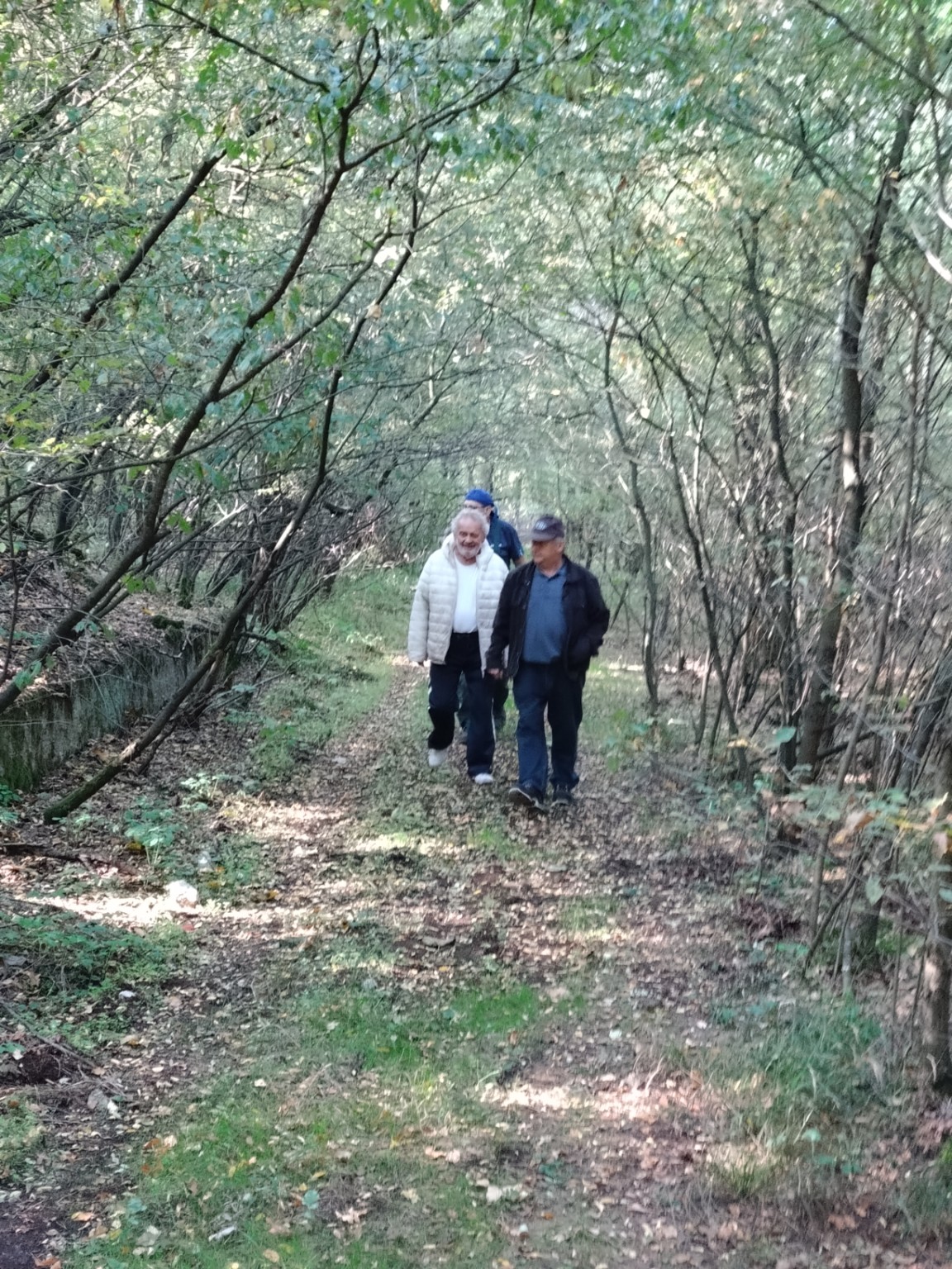 Freiwilligeneinsatz im Bunkerwald – zdjęcie 4