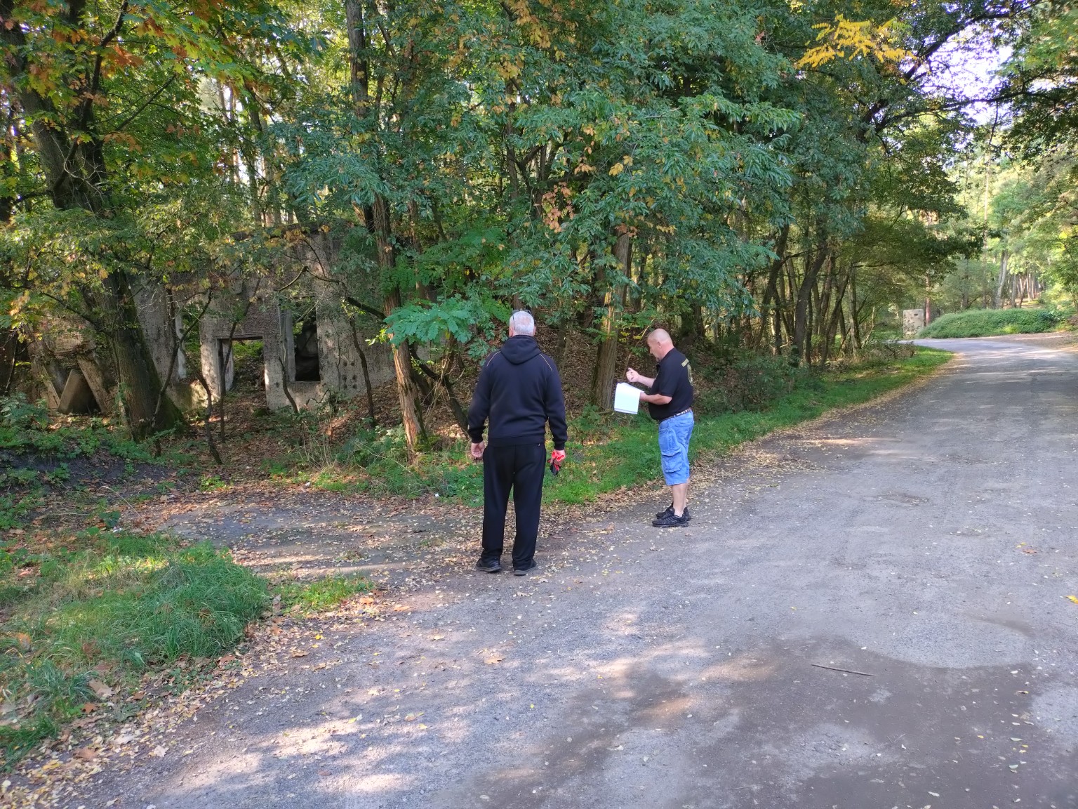 Freiwilligeneinsatz im Bunkerwald – zdjęcie 5