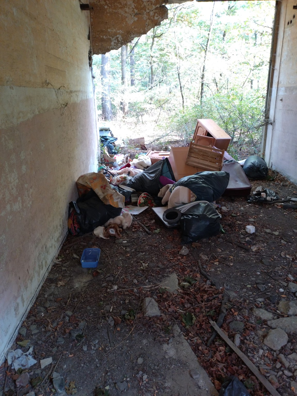 Freiwilligeneinsatz im Bunkerwald – zdjęcie 6
