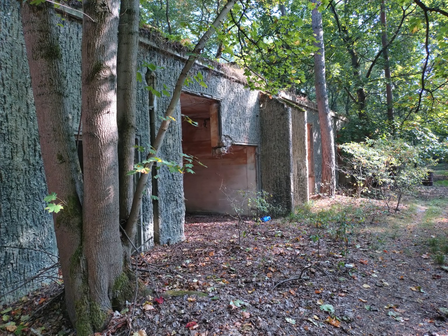 Freiwilligeneinsatz im Bunkerwald – zdjęcie 7