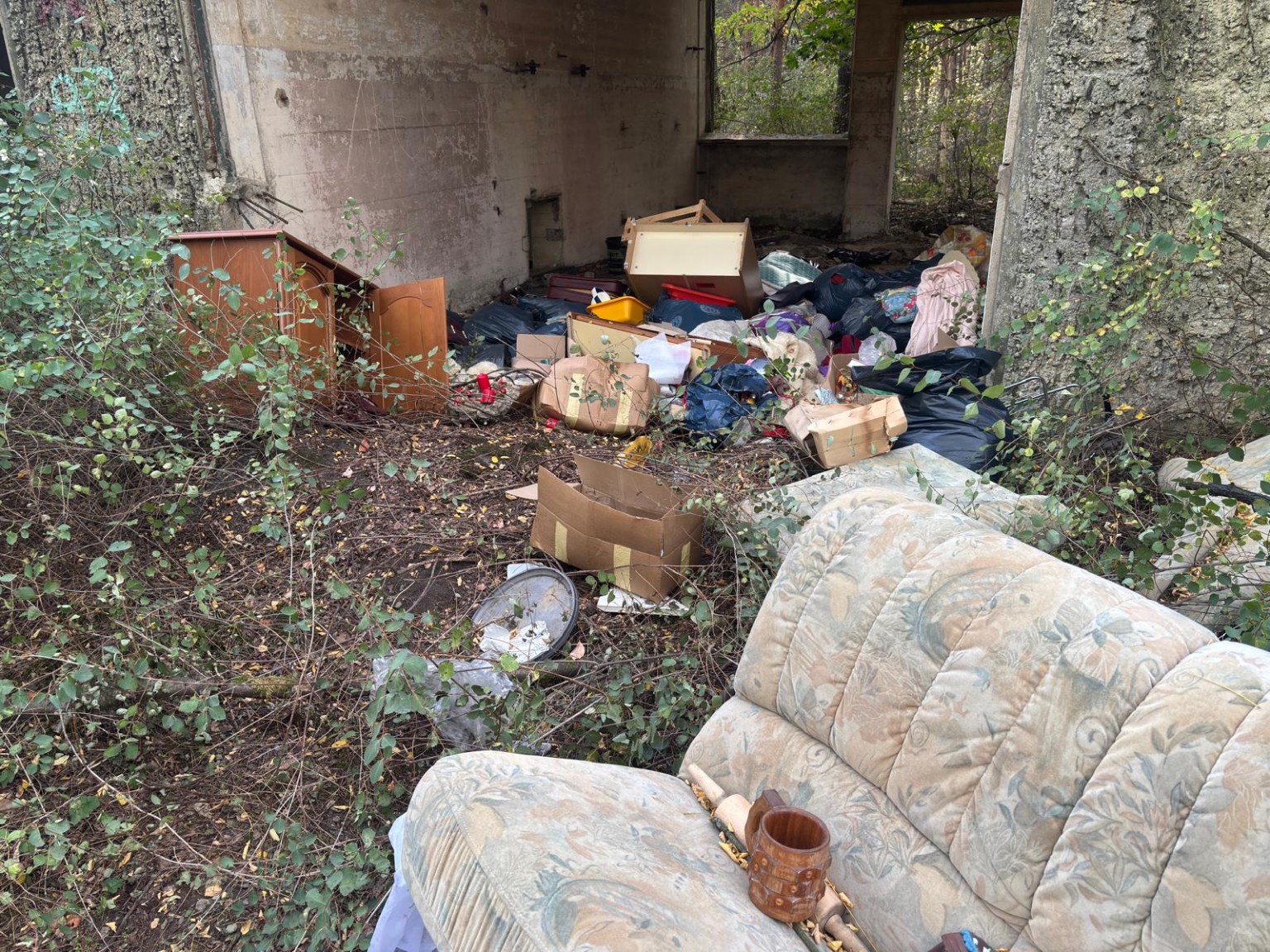 Freiwilligeneinsatz im Bunkerwald – zdjęcie 8