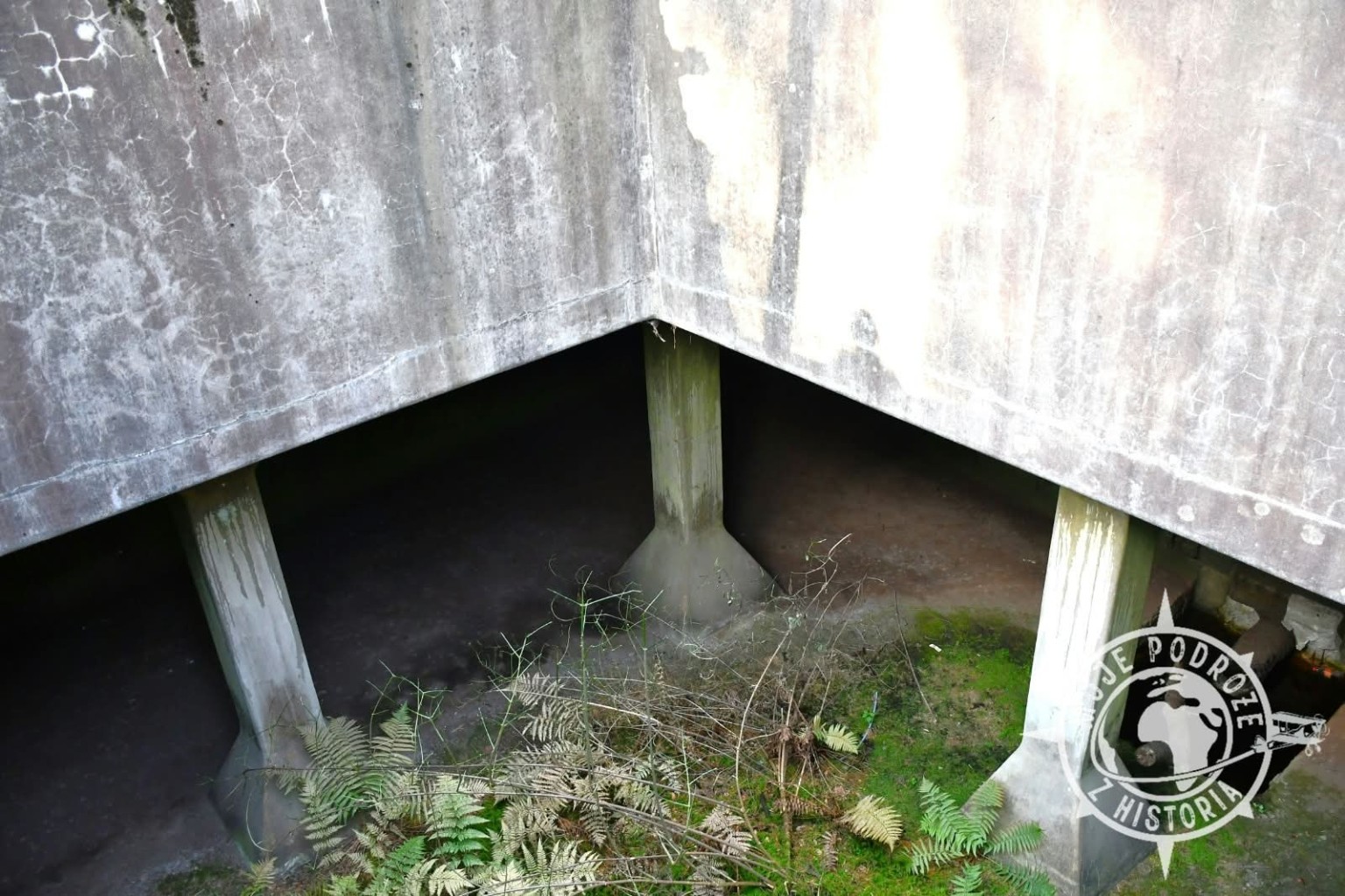 Rundgang mit der Stadt- und Gemeindeverwaltung Brody im Bunkerwald – zdjęcie 7