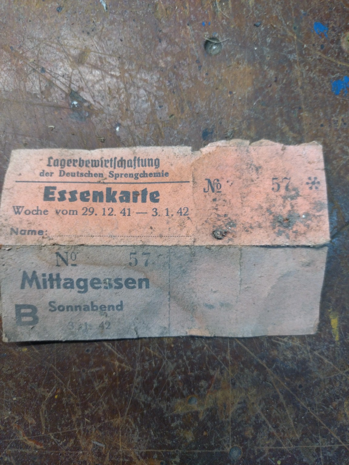 Rundgang mit der Stadt- und Gemeindeverwaltung Brody im Bunkerwald – zdjęcie 8